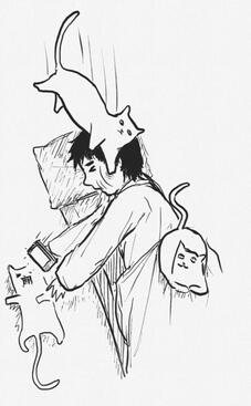 Chef Zi&#39;s 3 cats